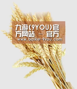 九游(9YOU)官方网站 - 官方正版授权，安全可靠首选